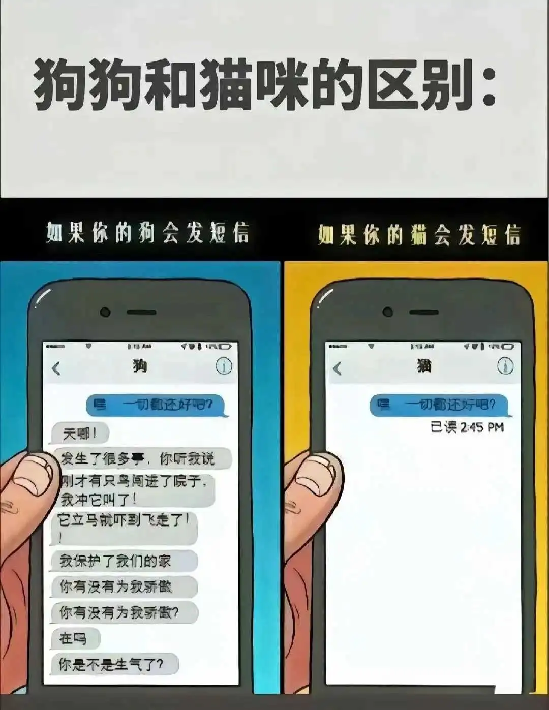 西檬之家-字母圈M倾向解析：从Sub到M的精准定位