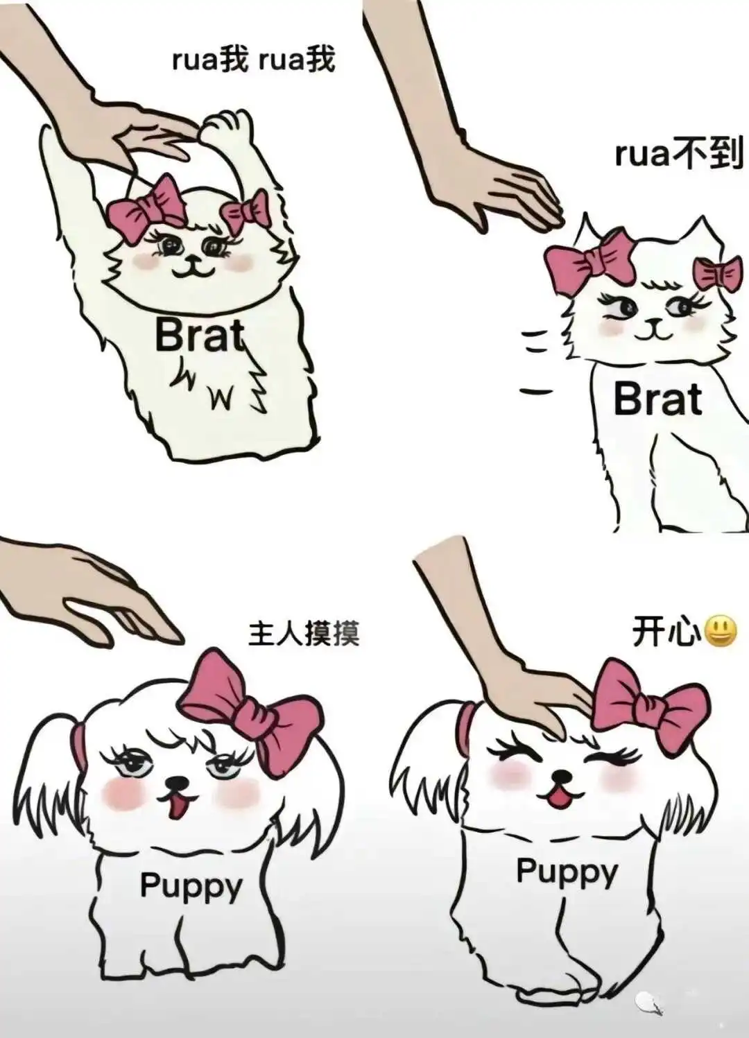 西檬之家-字母圈新人入门指南：从定义到核心术语解析