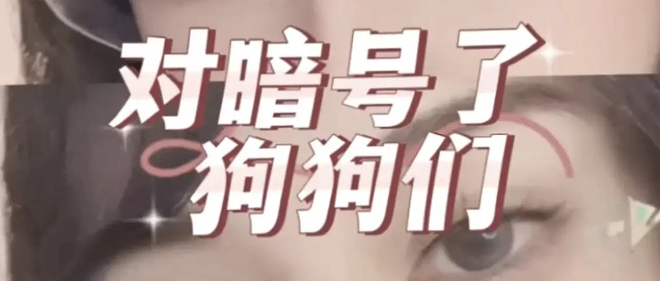DS关系：实用指南