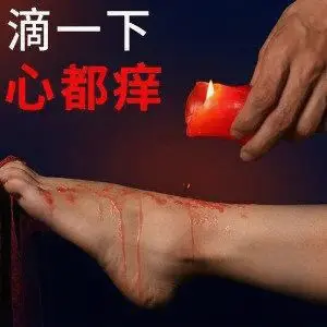 【西檬之家】Sub是什么？字母圈新人入圈指南