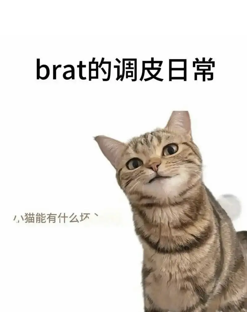 【西檬之家-字母圈新人入圈指南】从SM亚文化小白到全能玩家