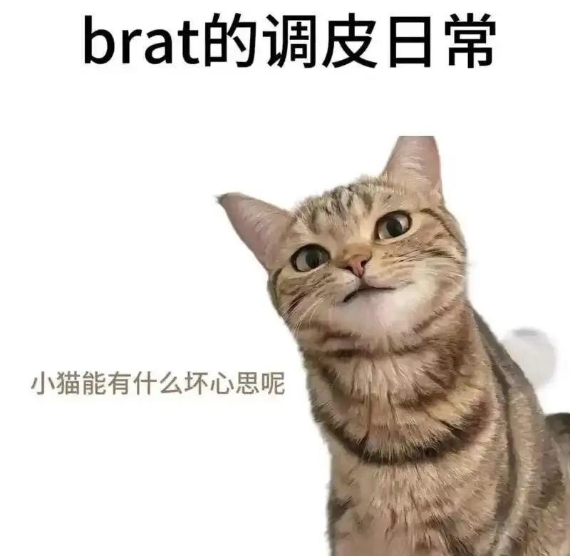 西檬之家-字母圈的践踏癖是什么意思？