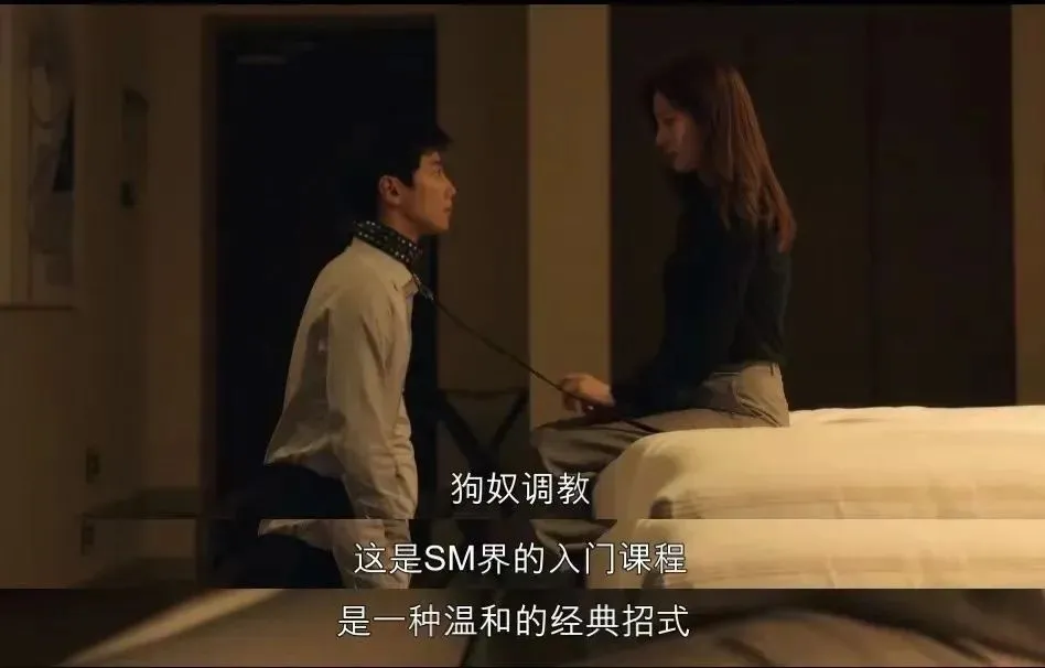 西檬之家-k9是什么, 字母圈中的k9含义解析