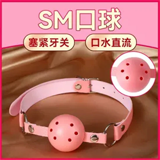 【西檬之家】DS关系全面指南：从基础术语到实践操作