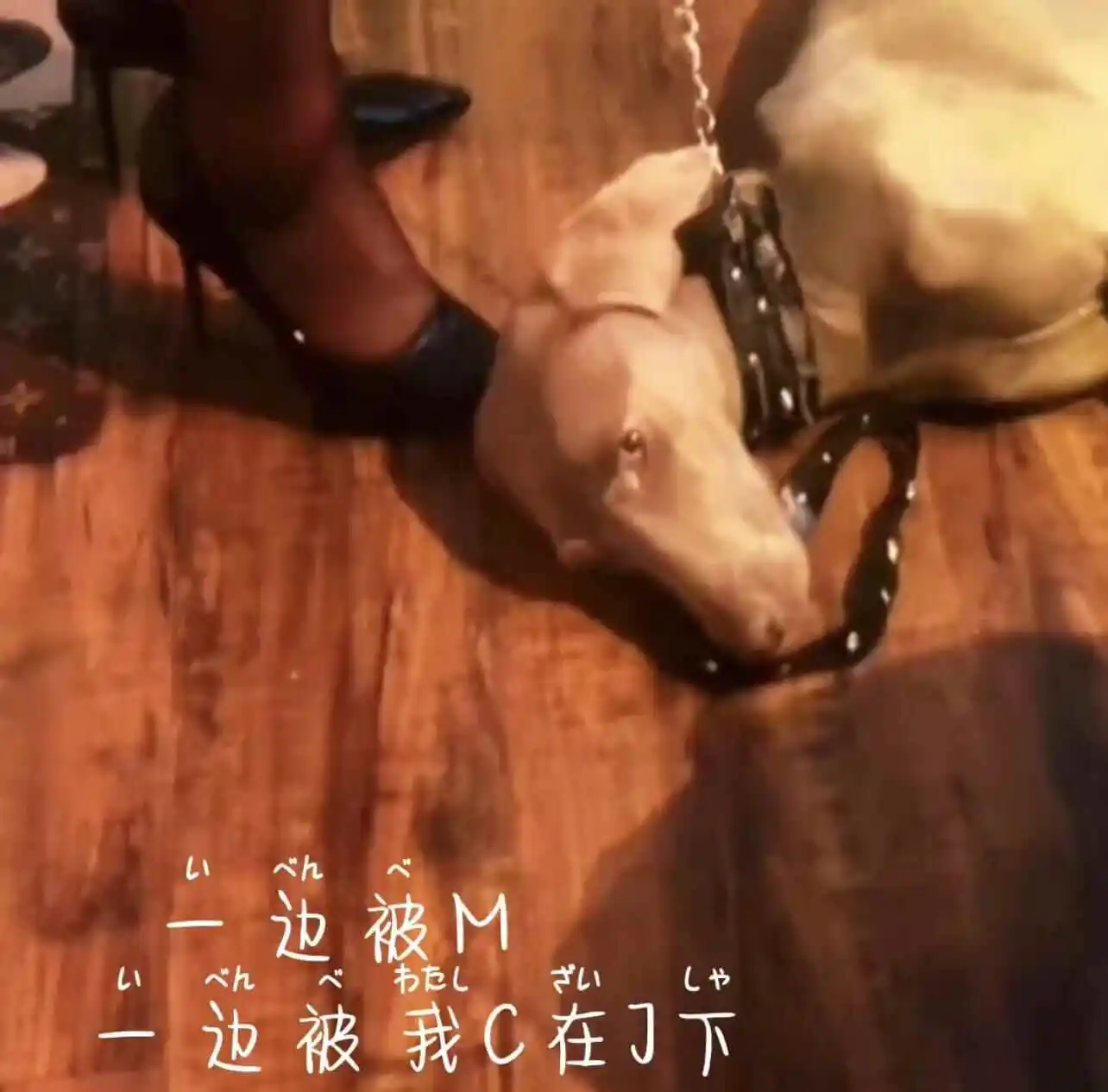 【西檬之家】字母圈的Aftercare指南：BDSM新人如何给予与接收后续照顾