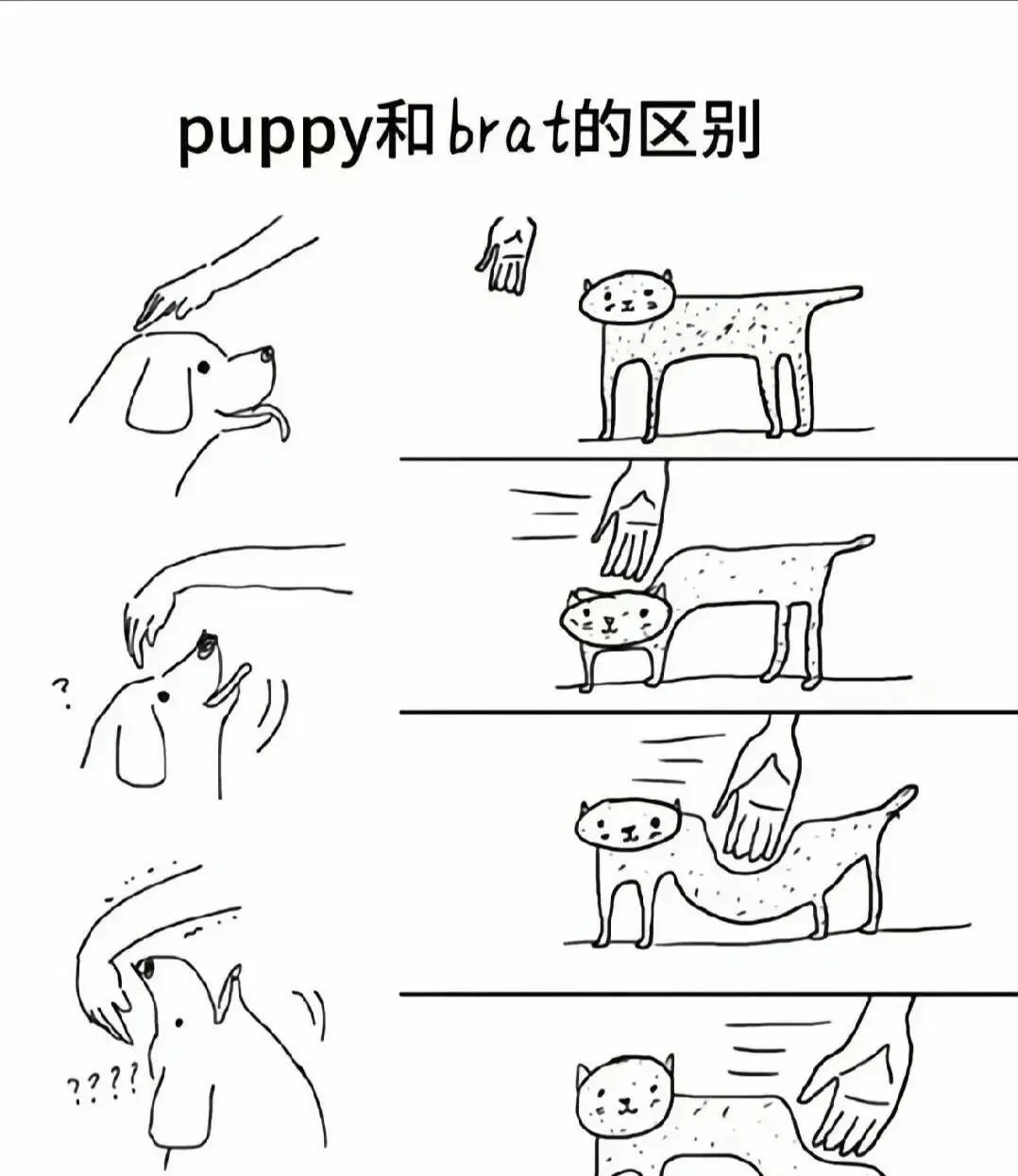 西檬之家-Dirty Talk是什么?字母圈新人入圈指南